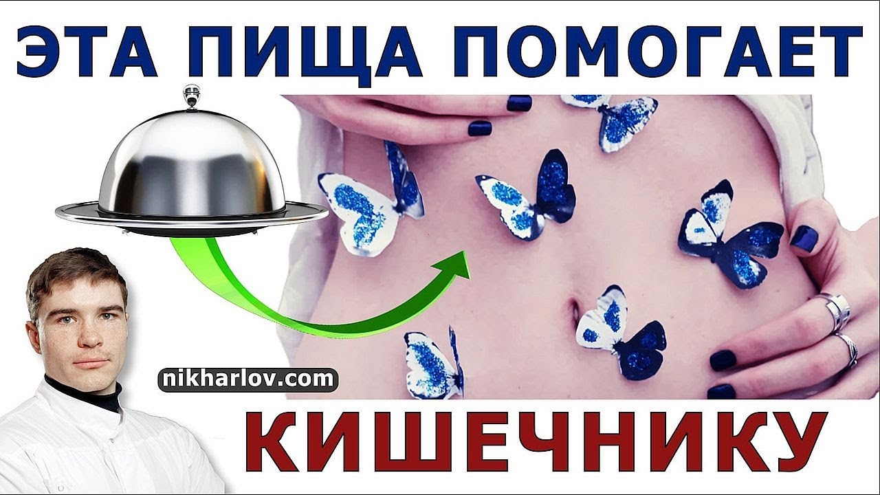 Рекомендации Гастроэнтеролога: Ферментированные продукты, восстанавливающие микрофлору кишечника.