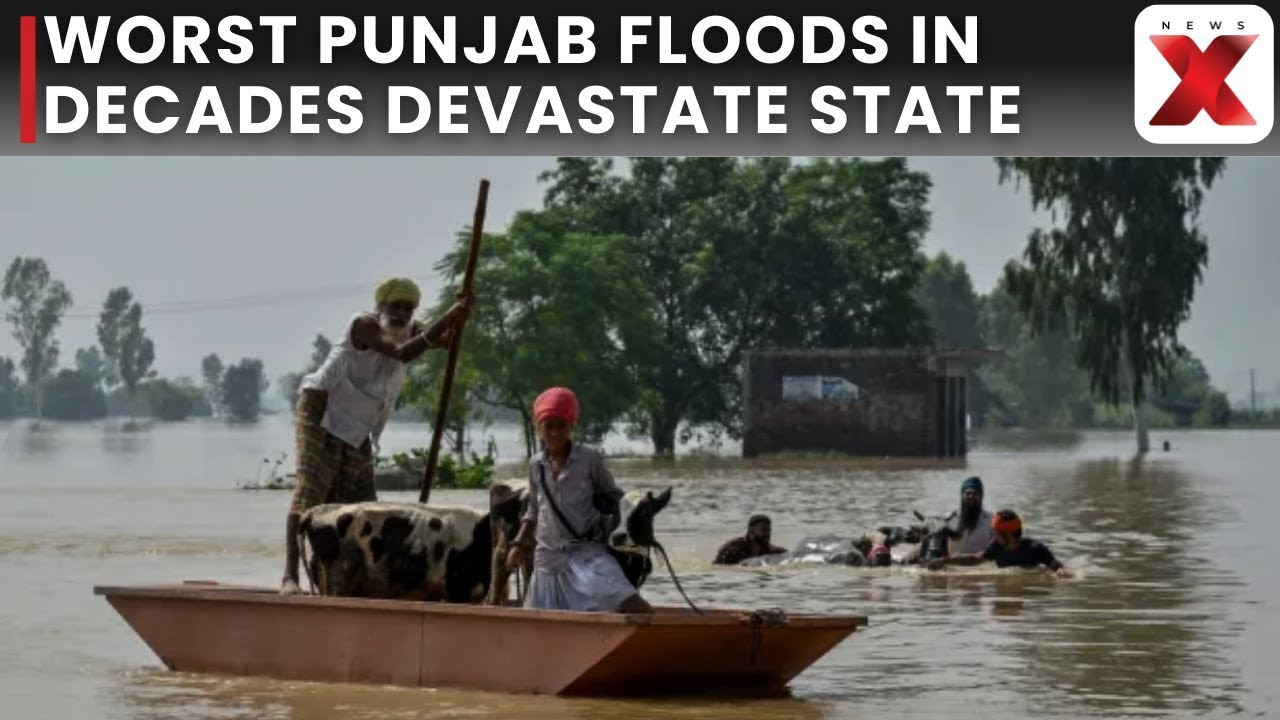 Punjab Floods: 50,000 Families Displaced, Punjab Flood Relief Operations Underway With Central Aid