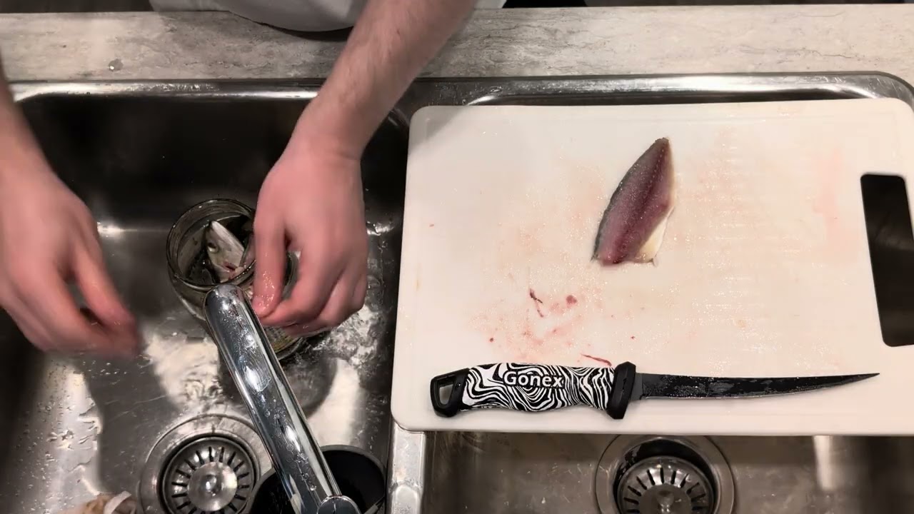 Filleting and cooking Indian Mackerel and using remains for... Garum???