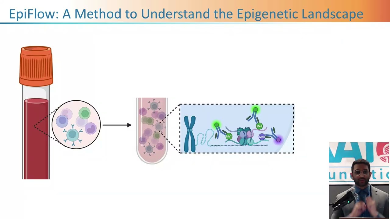 The KAT6 Epigenetic Fingerprint
