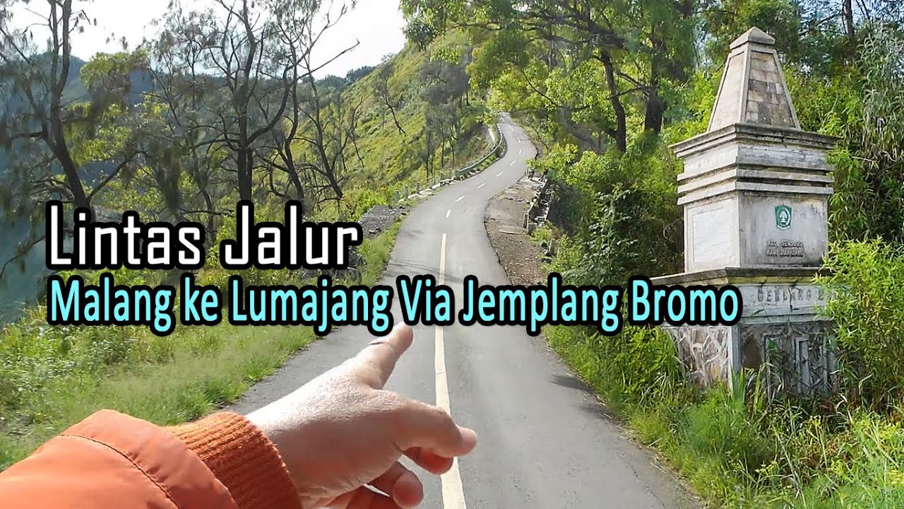 Jalur Malang Ke Lumajang | Lintas Jemplang Bromo Ranupane Hutan Bambu 2024