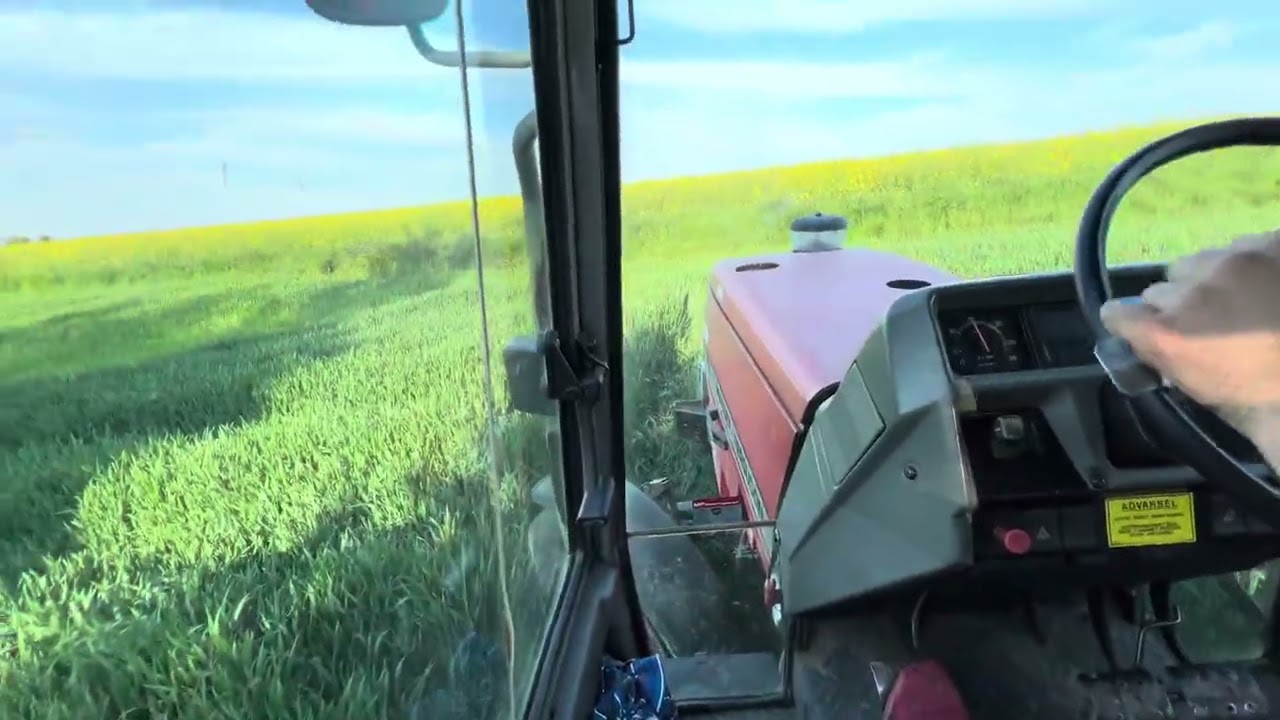 T2 w pszenicy Pallas i Debian || Massey Ferguson 3060 & Rau spridomat 2 1000l||