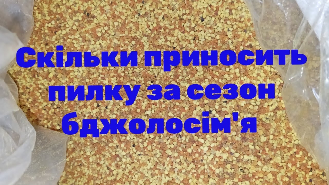 Міфи про збір пилку. Переставляю вулики на палети