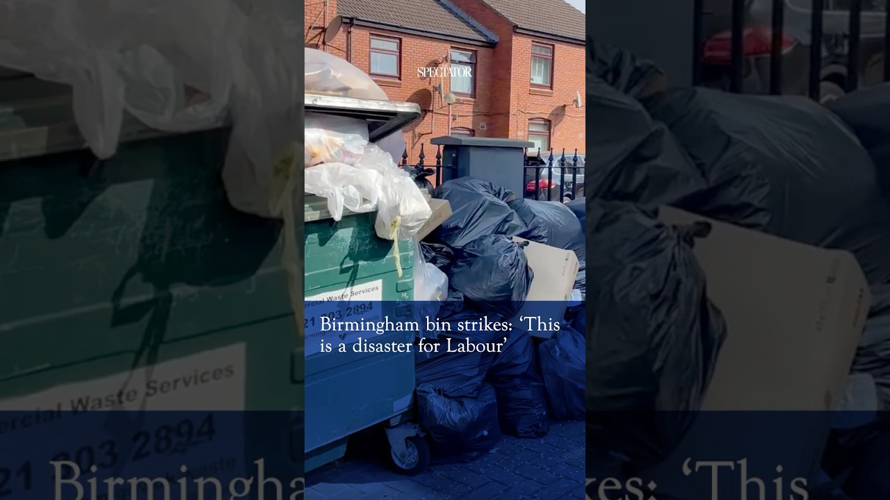 Labour-run Birmingham's disastrous bin strike: 'The cats are running away from the rats'