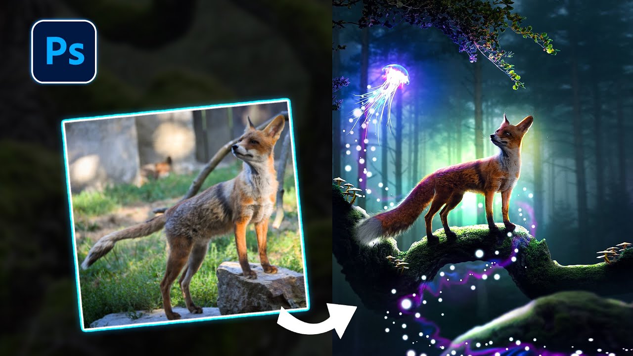 Fantasy Fox & Jelly Fish  - Photo Manipulation  | Photoshop Speed Art Tutorial