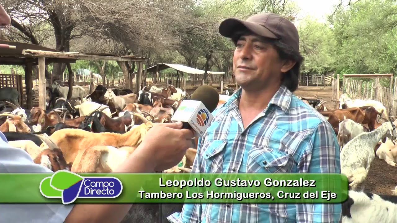 Tambo Caprino - INTA Cruz del Eje - (Segunda Parte)