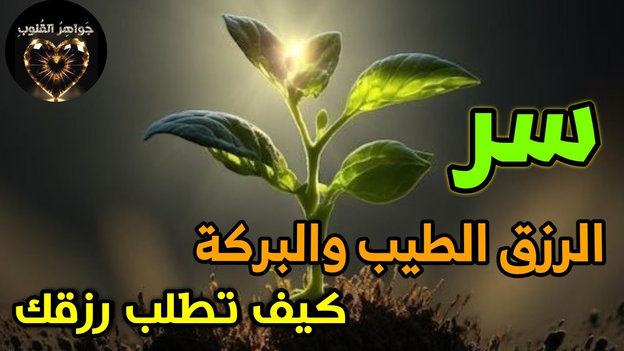 جواهر القلوب,7 معتقدات خاطئة تحرمك الرزق والبركة! احذر أن تعيش وهم السعي وحده!
