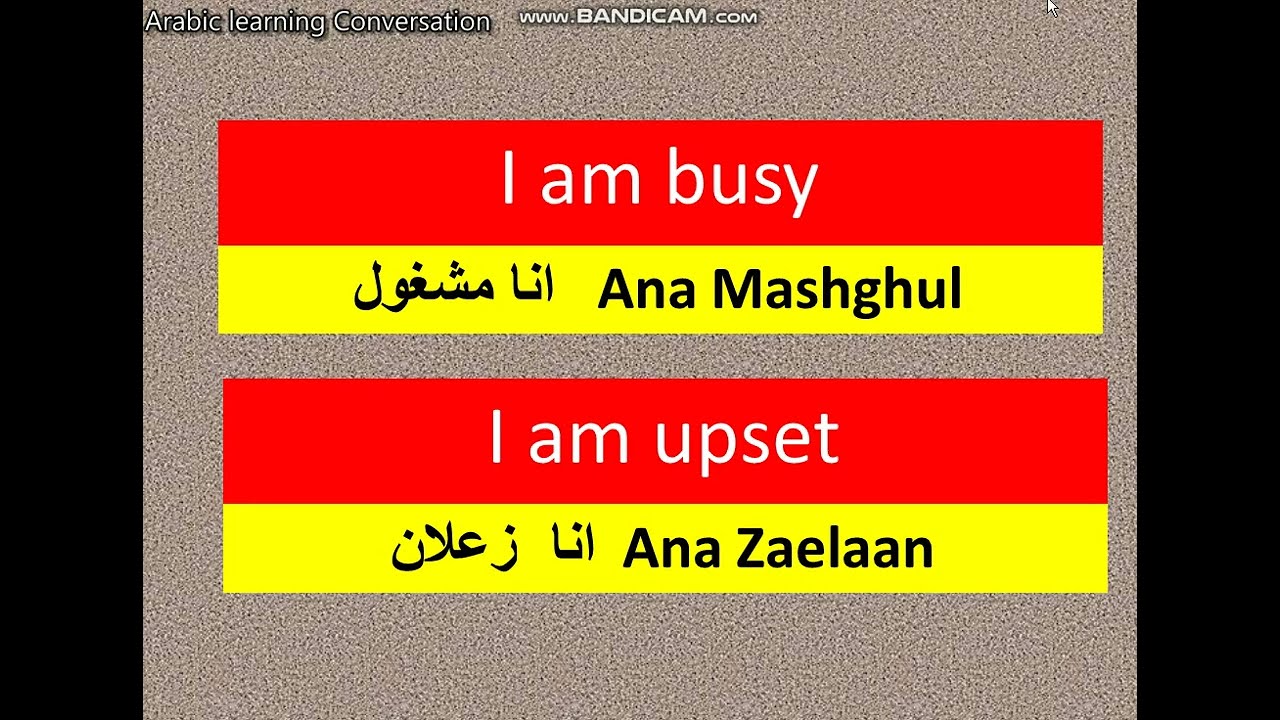 how to say in arabic listen to me-   I am  busy- I am upset-learning arabic in 2 minutes