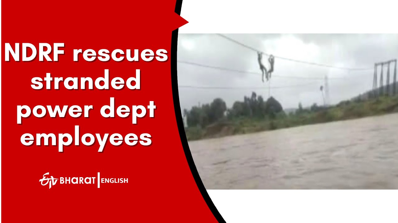 Watch: NDRF rescues stranded power dept employees as rains batter Palghar in Maharashtra |ETV Bharat