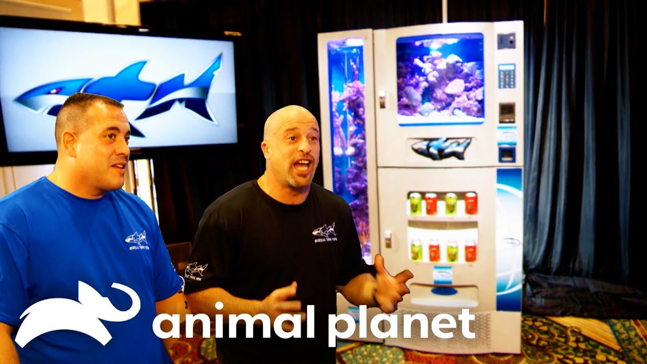 Vending Machine Fish Tank That Actually WORKS! | Tanked | Animal Planet