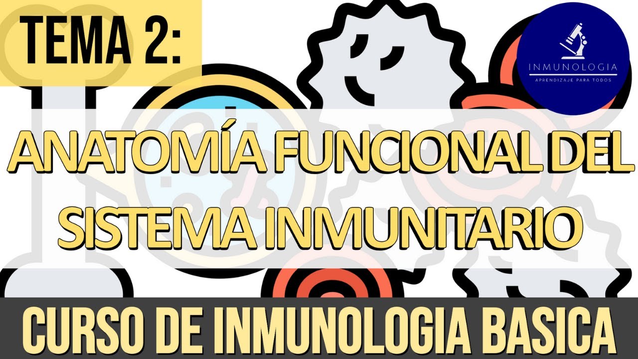 Anatom&iacute;a Funcional del Sistema Inmune: Hematopoyesis, &Oacute;rganos linfoides, Sistema Linf&aacute;tico.