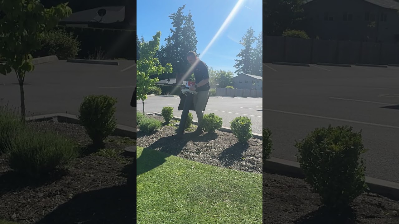 STIHL SHA 140: Cordless, Compact, and Surprisingly Quiet