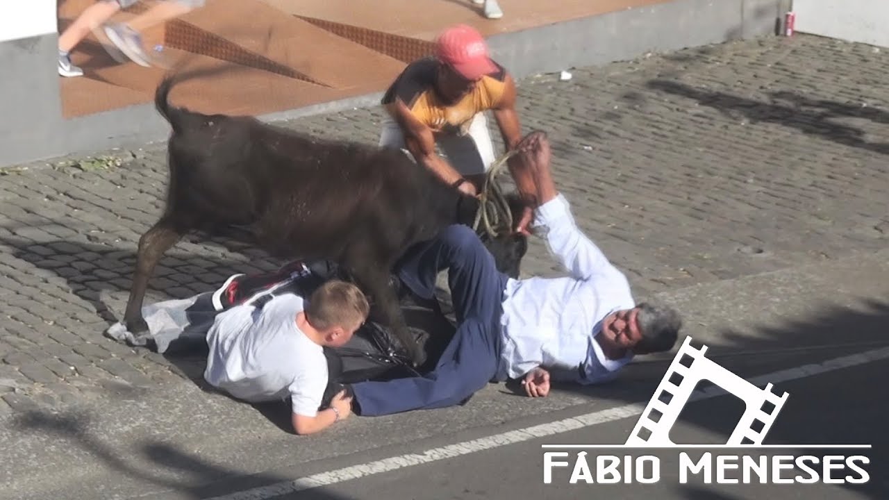 S&Oacute; MARRADAS & APANHADOS da Bezerrada das Lajes 2017