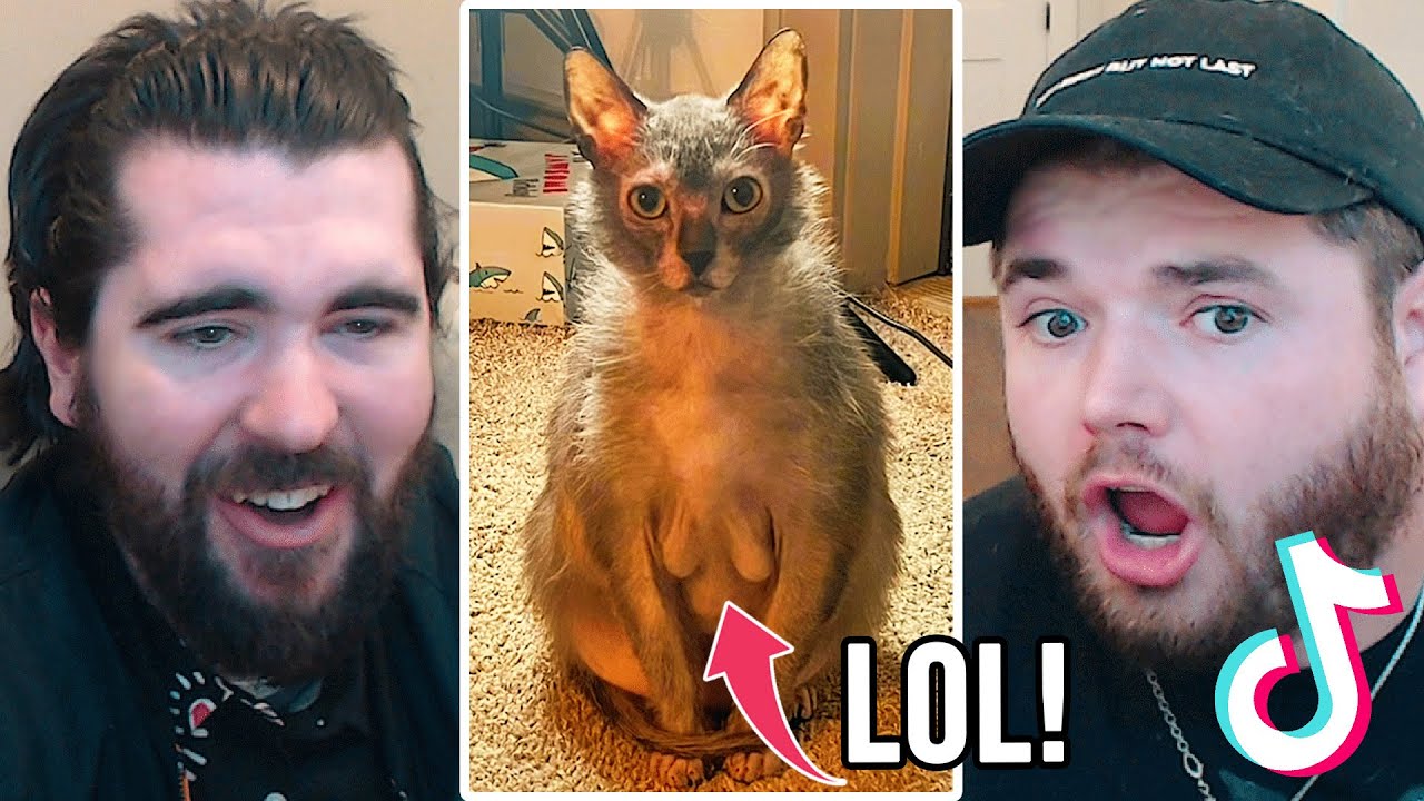 Nogla and Panda REACT to the Worst TikToks