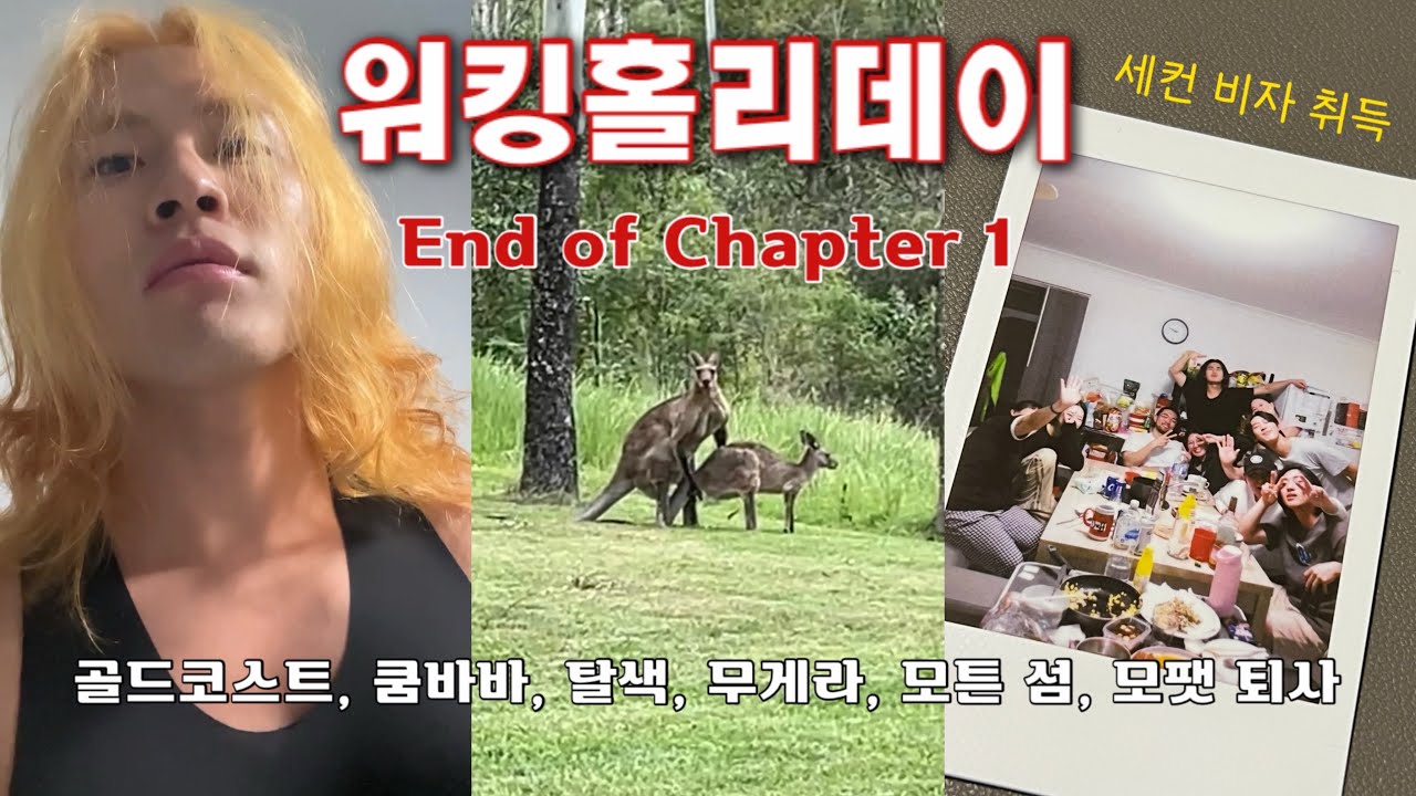 🇦🇺 호주 워홀 4달차 Vlog (feat. 퇴사)