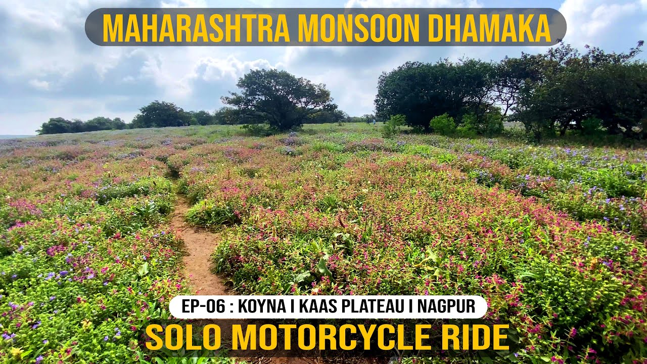 Biking the serene Koyna Backwaters and Beautiful Kaas Plateau I Monsoon Bike ride