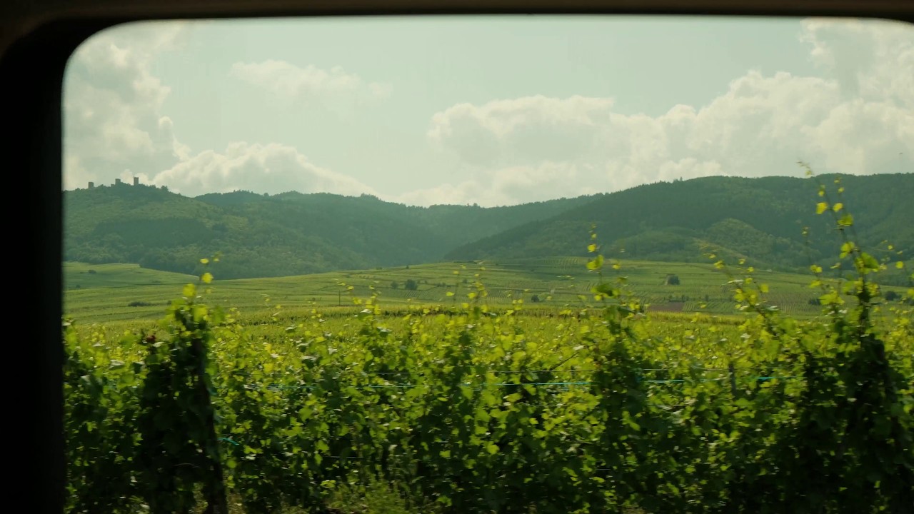 roadtripping w/ familia around spain & france