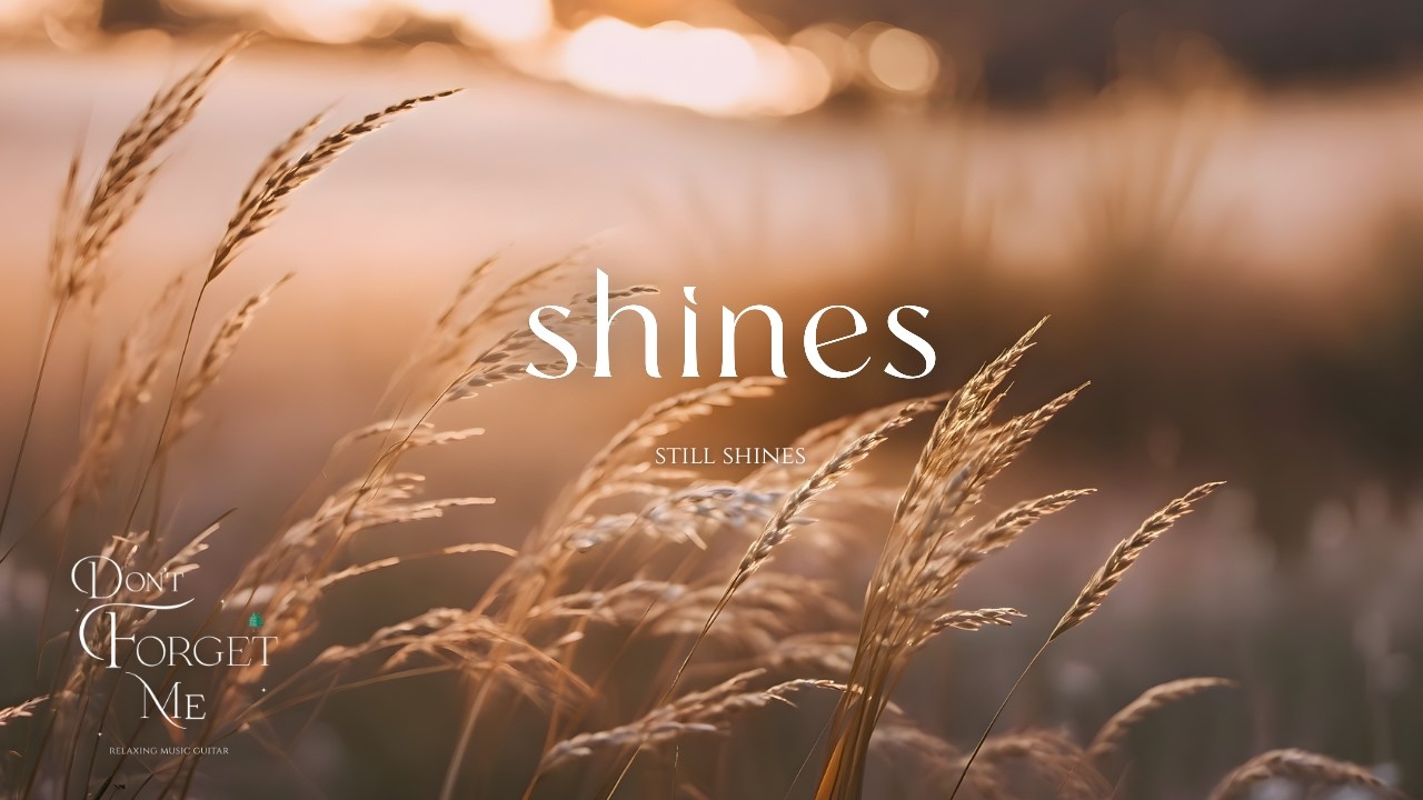 Still Shines 🌾 Relaxing Guitar Music for Peaceful Sleep, Deep Focus, and Emotional Healing