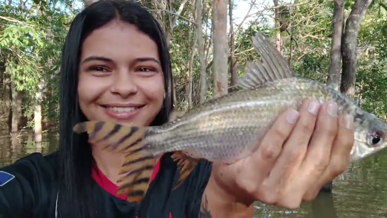 VENHA CONHECER OS PEIXES QUE PEGAMOS AQUI😹🐠Jaraqui CARA AÇU CURIMBA🐠 #fishing #pescaria #peixes 