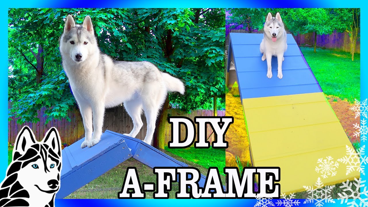 DIY AGILITY A-FRAME for Backyard Agility | Build an Agility Course