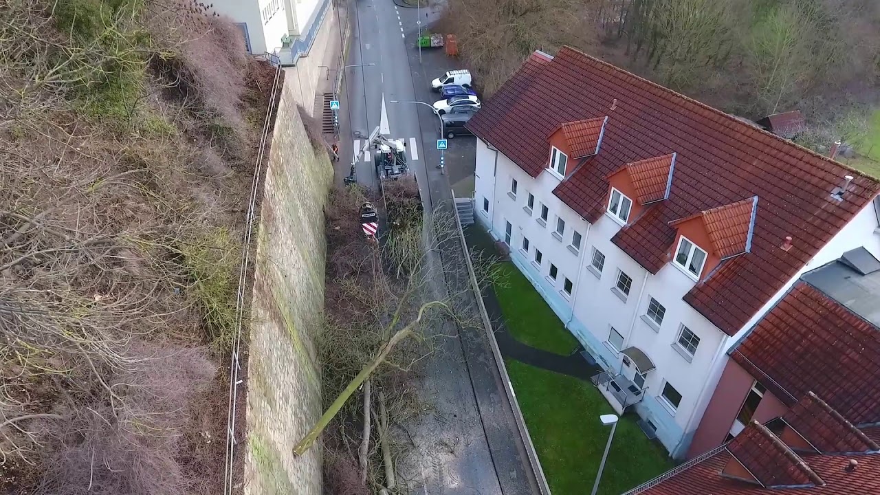 Baumfällung Raulf GmbH Gierkink / Pm Trac