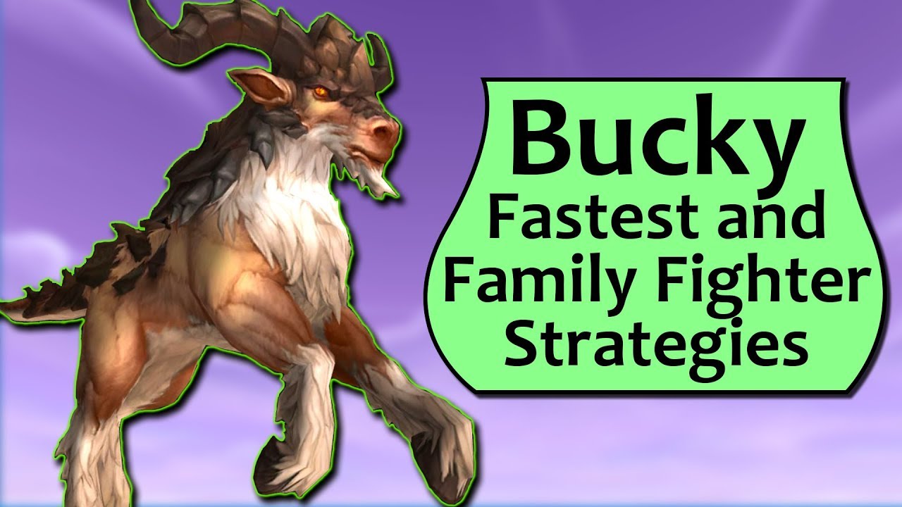 Bucky Pet Battle Guide and Family Fighter Strategies