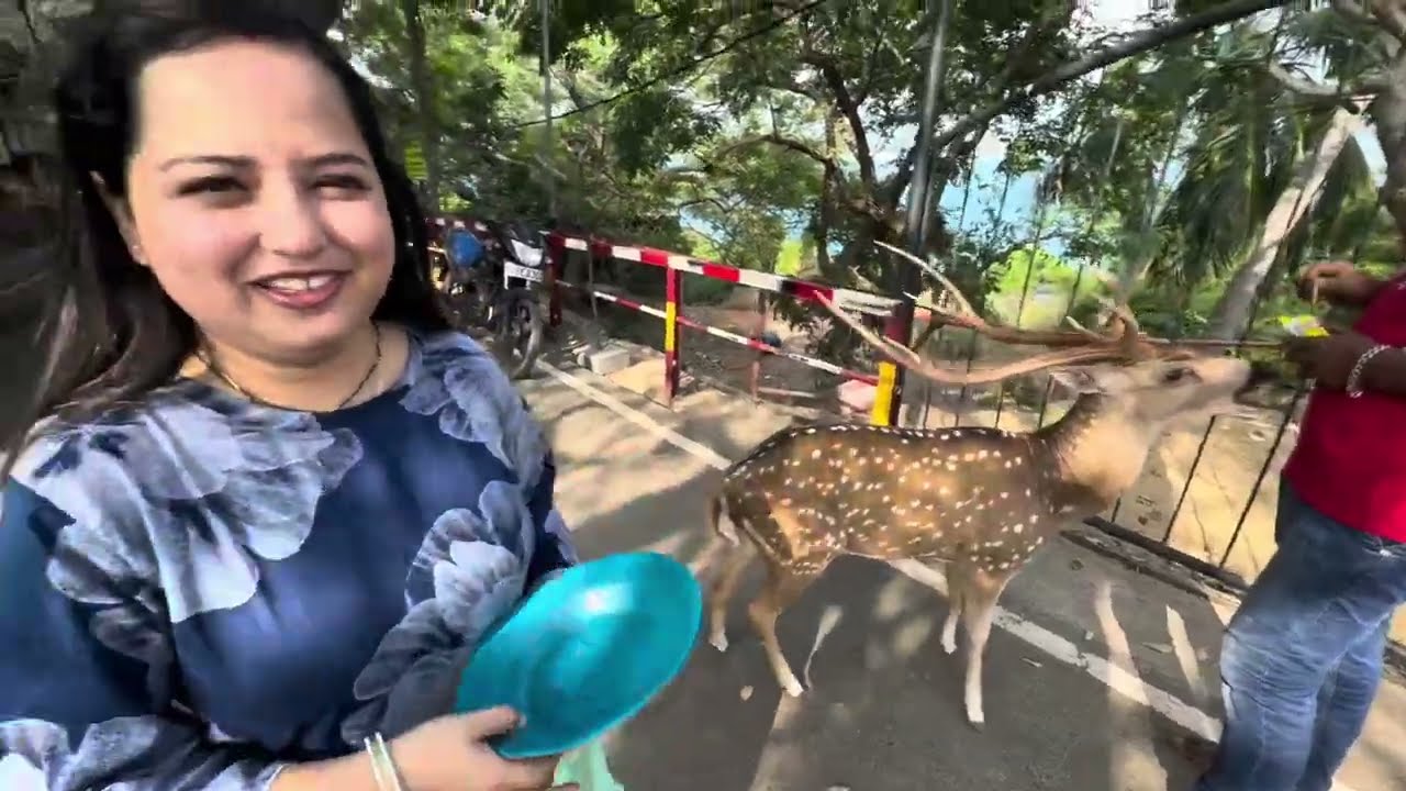 Sri Lanka Trip day 6 Darshan Shakti Peeth Shankari Devi Temple (Part-1) 🇱🇰🛕🙏 #114