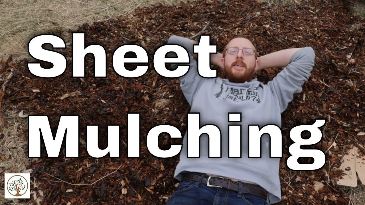 Sheet Mulching - What is it?  How to do it?