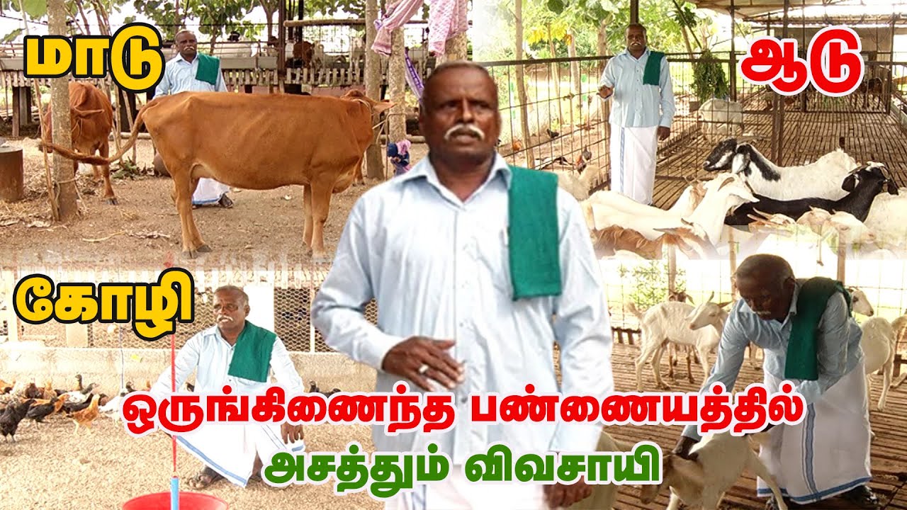 தினம்..வார வருமானம்..மாத வருமானம்..! ஒருங்கிணைந்த பண்ணையத்தில் அசத்தும் விவசாயி | Integrated farming