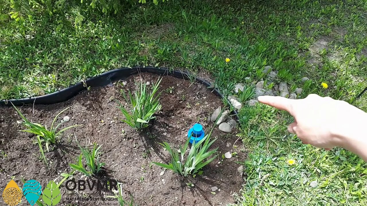 Capsule jardin de pluie 3: le design