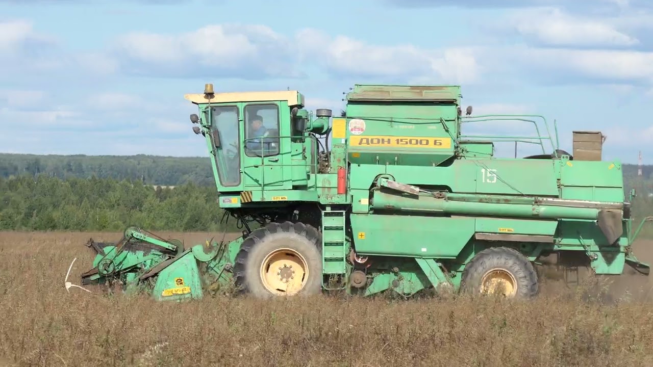ДОН 1500Б на уборке рапса.