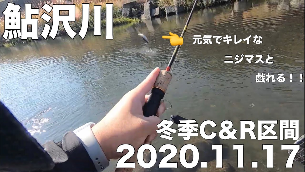 鮎沢川冬季C&R区間　綺麗なニジマスが釣れる川