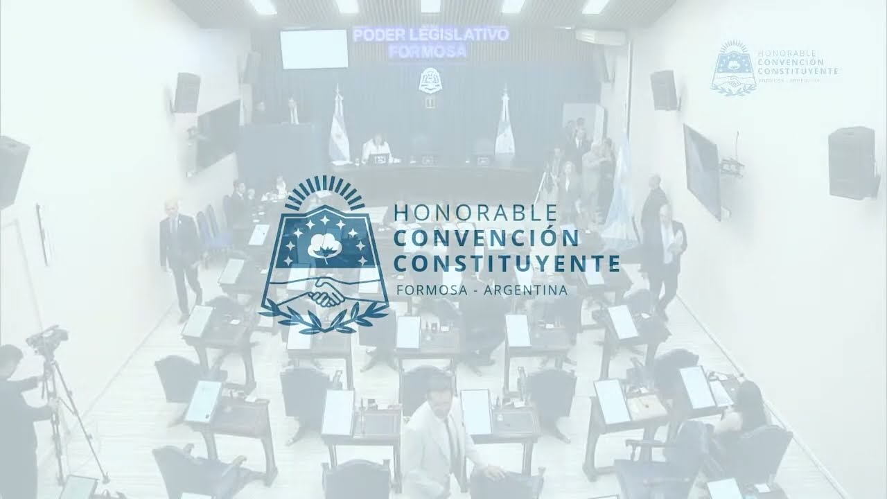 HONORABLE CONVENCIÓN  CONSTITUYENTE OCTAVA SESIÓN PLENARIA