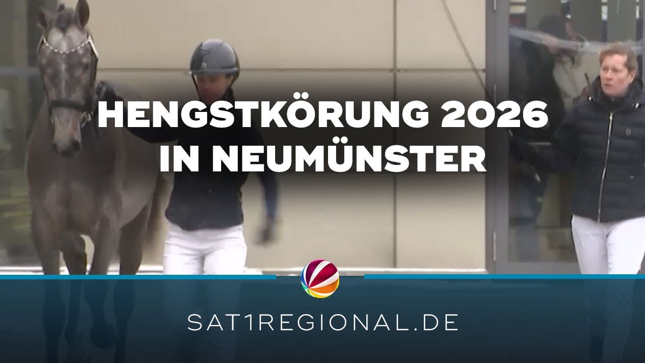 Hengstkörung 2026: Traditionsveranstaltung in Neumünster