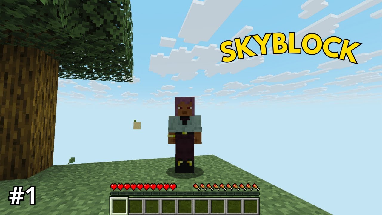 New Start! - Minecraft Skyblock Timelapse #1