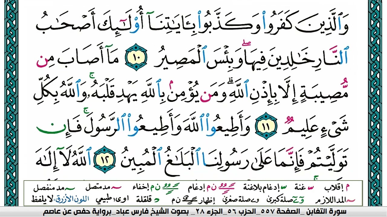 سورة التغابن مكتوبة فارس عباد Surah Al-Taghâbun Fares Abbad