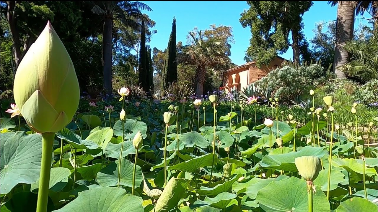 S2E14: Lotusland | Montecito California