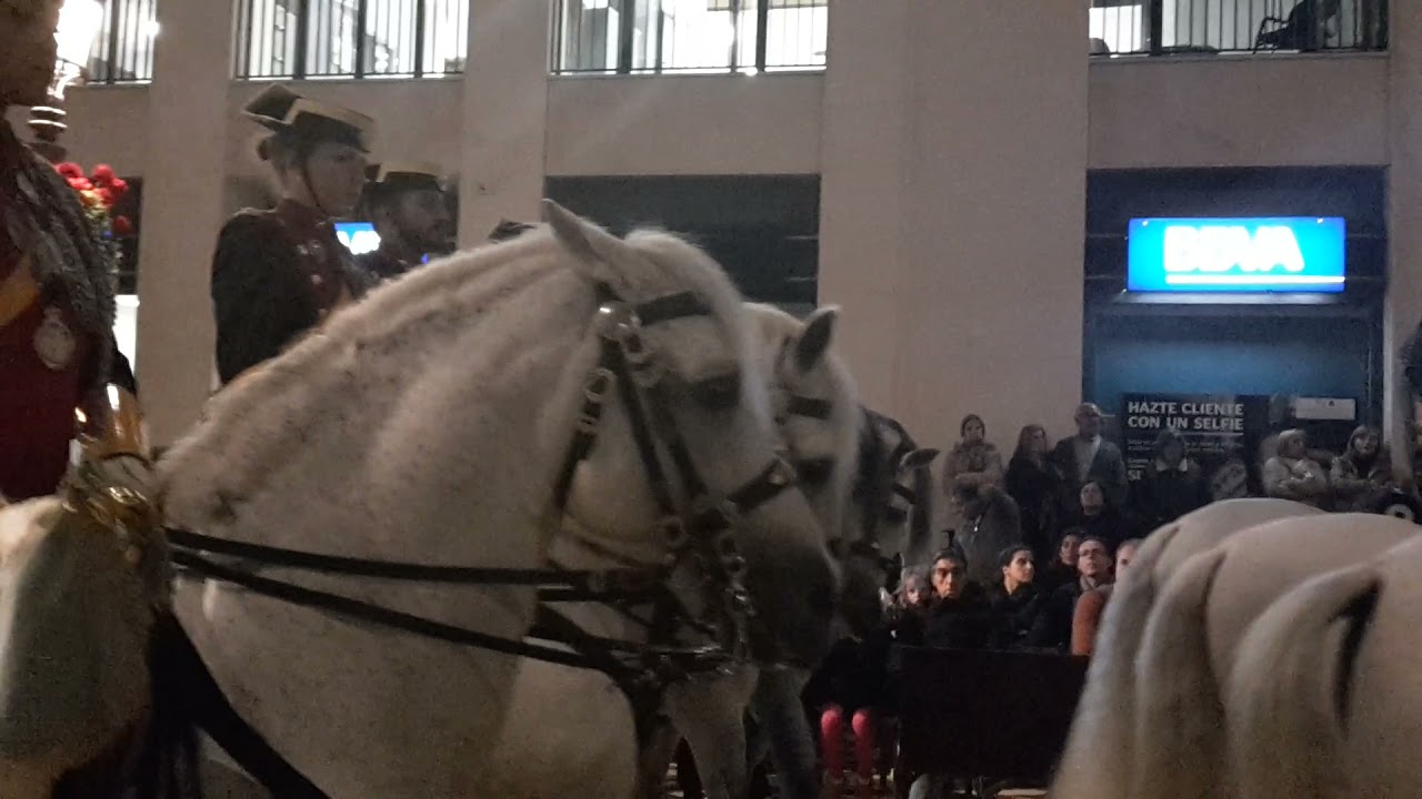Malaga Pasqua 2017. Mercoled&igrave; Santo. La Polizia a Cavallo accompagna la processione. 42).