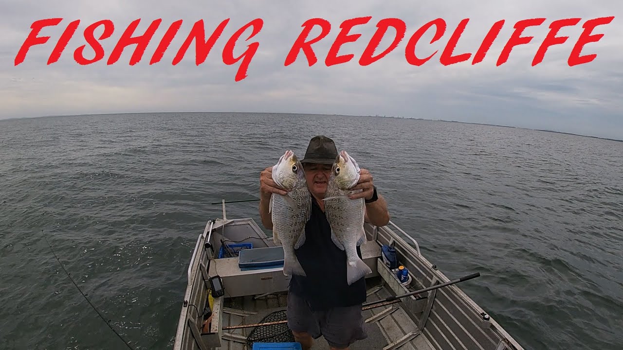 REDCLIFFE FISHING 24TH JAN 2025