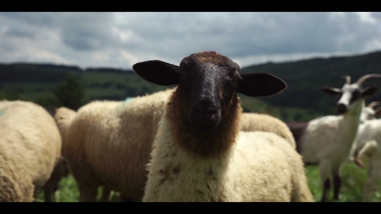 W&uuml;stensachsen im Herzen der Rh&ouml;n