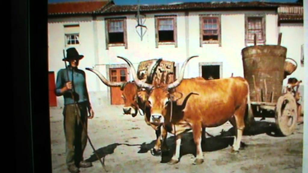 CUNHA VILA VERDE e MARIA CELESTE DE AZIAS (O ENGANO )1985