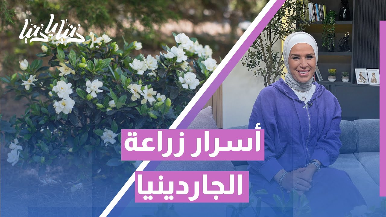 هل تفشل نبتة الجاردينيا عندك؟ إليك أسرار نجاح زراعتها في المنزل مع أمل القيمري