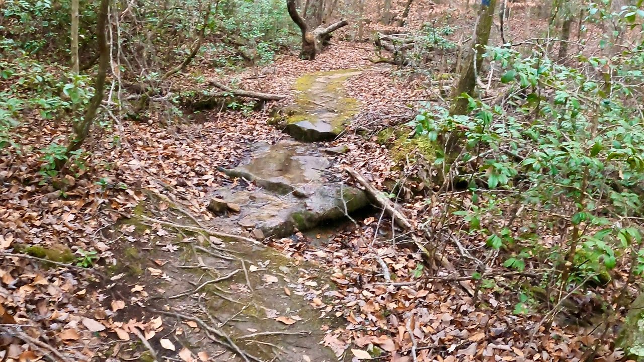 The crazy rocky Ritchie Hollow trail.( no music)