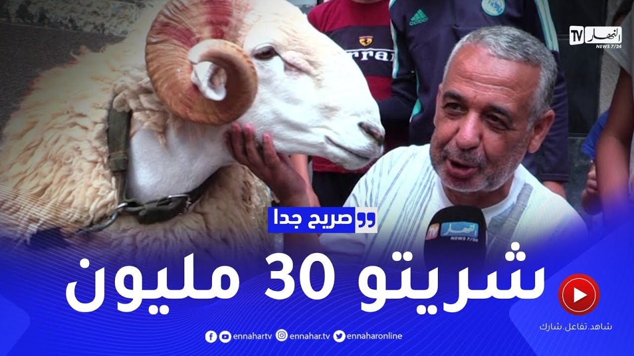 صريح جدا: جزئريون يقتنون أضـ_حية العيد بهذه الأسعار ..!