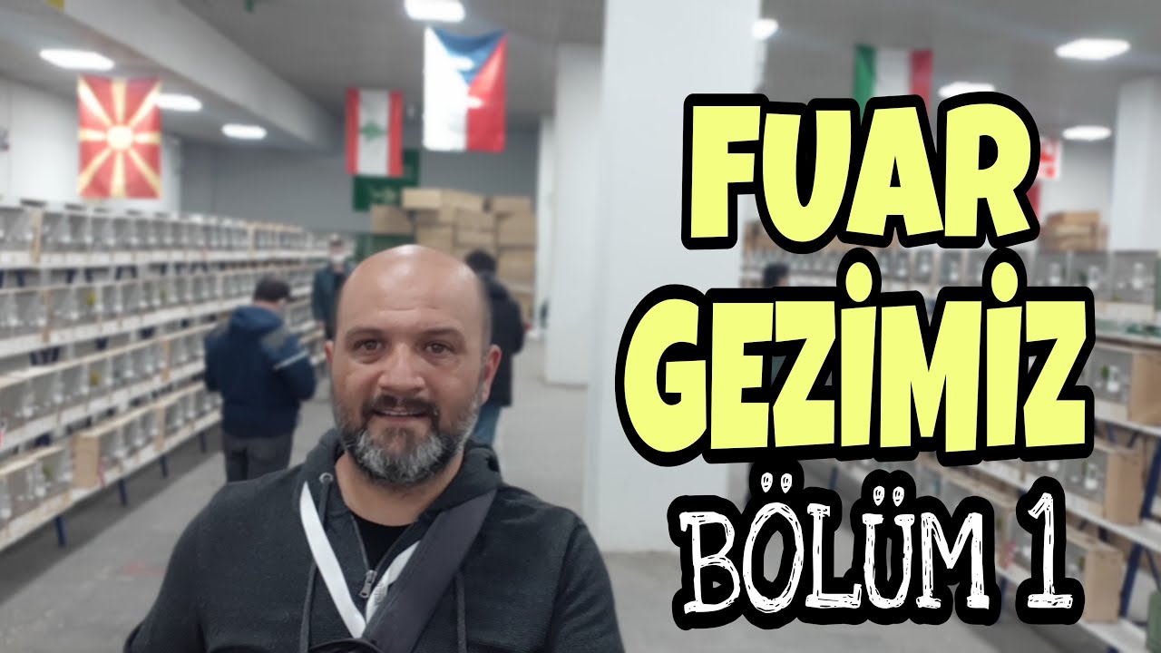 İSTANBUL EVCİL HAYVAN FUARI // CNR EXPO 2021 / [ Muhabbet Kuşu, Kanarya, Sultan Papağanı ]