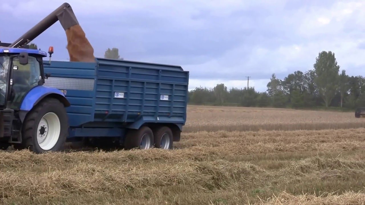 Harvest 2015 Roger Perry at the Winter Wheat with New Holland Machinery