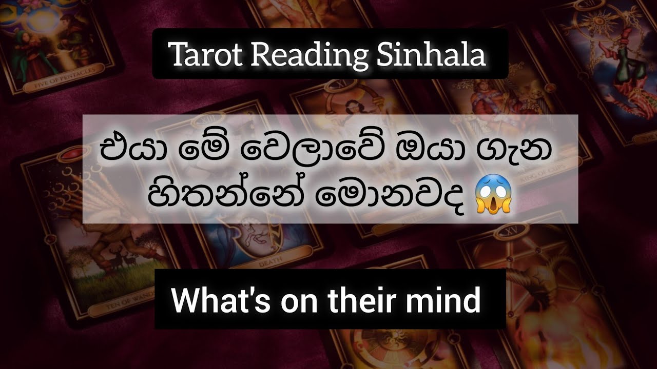 එයාගේ හිතේ ඔයා ගැන තියෙන්නේ මොනවාද? ❤️😱 What's on their mind? | Mystic Stars Timeless Tarot Reading 