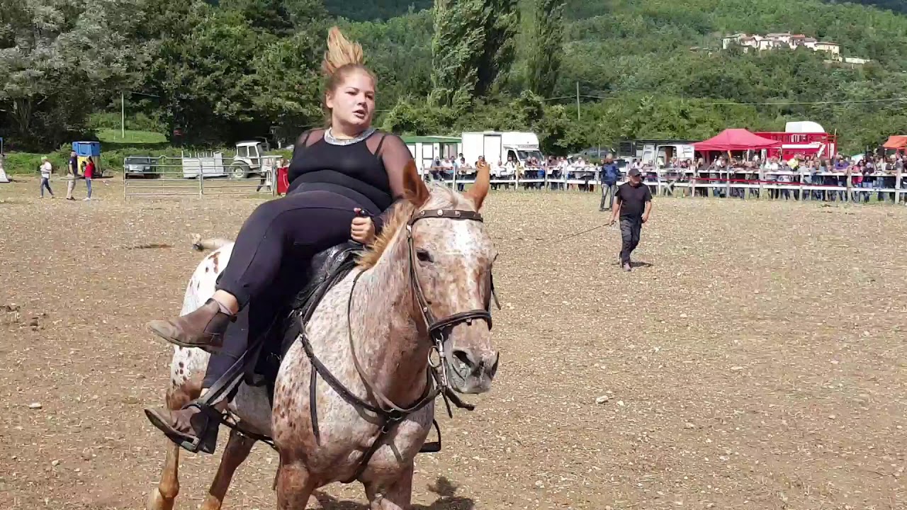 🤤VOLTEGGIARE🏇ACROBAZIE😨CAVALLO🐎