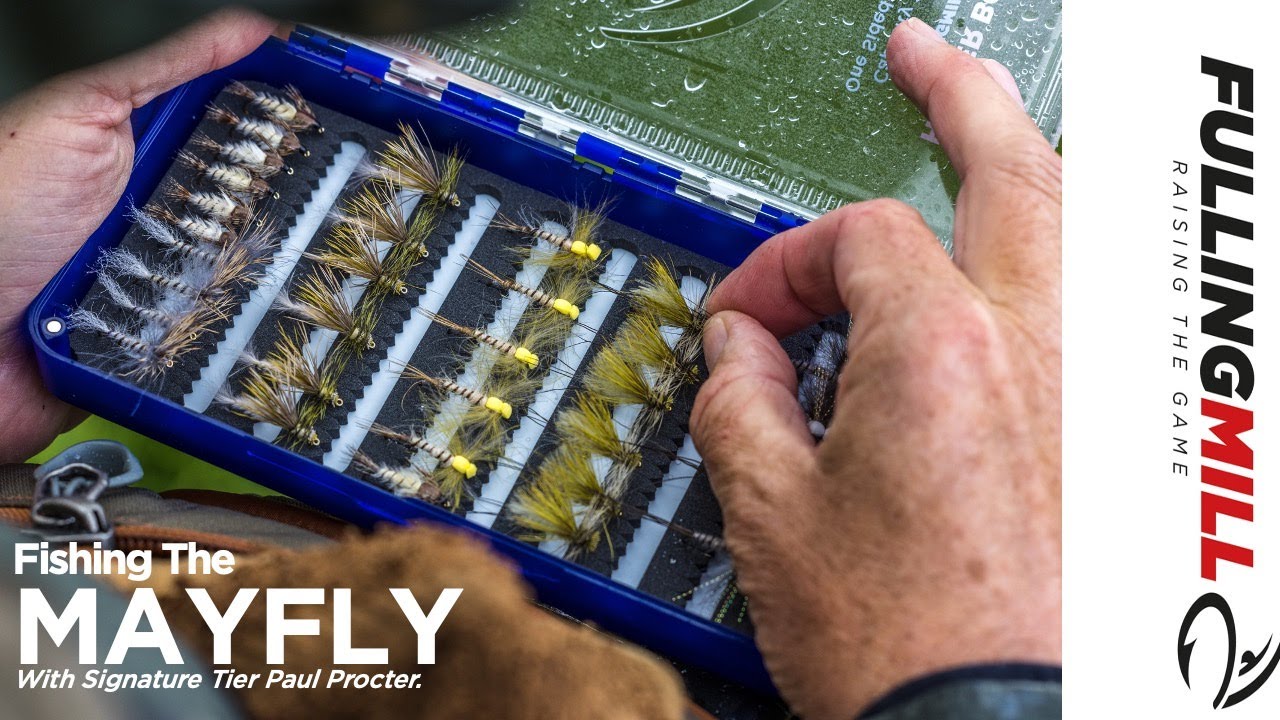 Dry Fly Fishing: The Famous Mayfly Hatch With Paul Procter