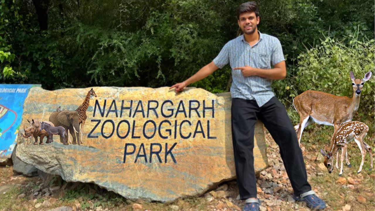 Naharghad Biological Park 2025 | Jaipur Zoo | biggest zoo in India | ￼ Tiger Safari￼ park 